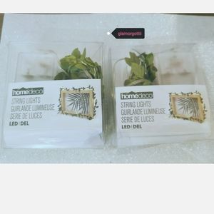 🐍Leaf String lights